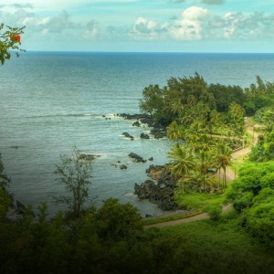 Road to Hana Tour