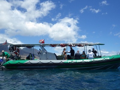 The Magic Merman Snorkel Charters